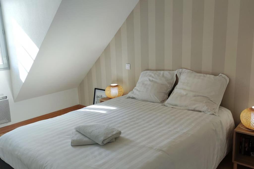 Apartamento Superbe Duplex « Le Grevy » Dole Exterior foto