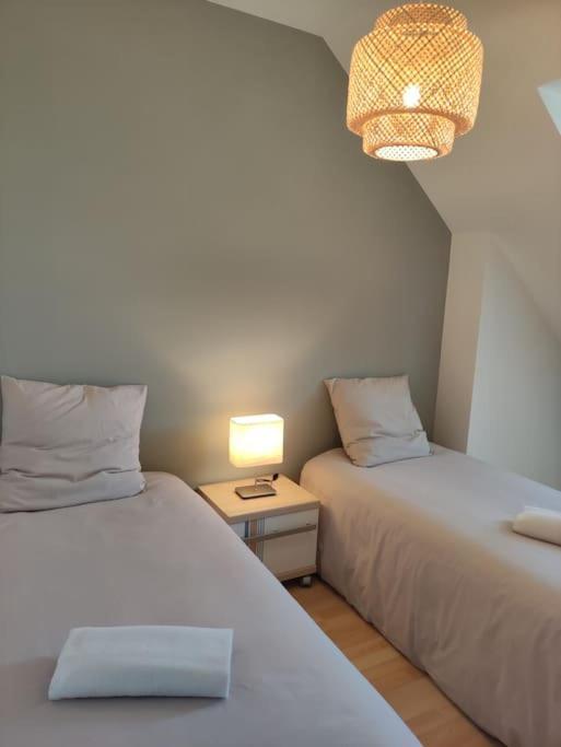 Apartamento Superbe Duplex « Le Grevy » Dole Exterior foto